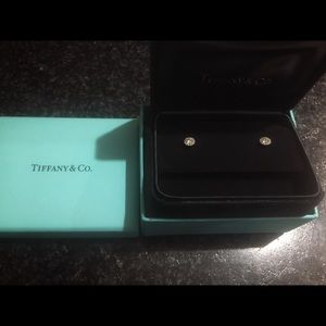 Tiffany Circlet Diamond Earrings
